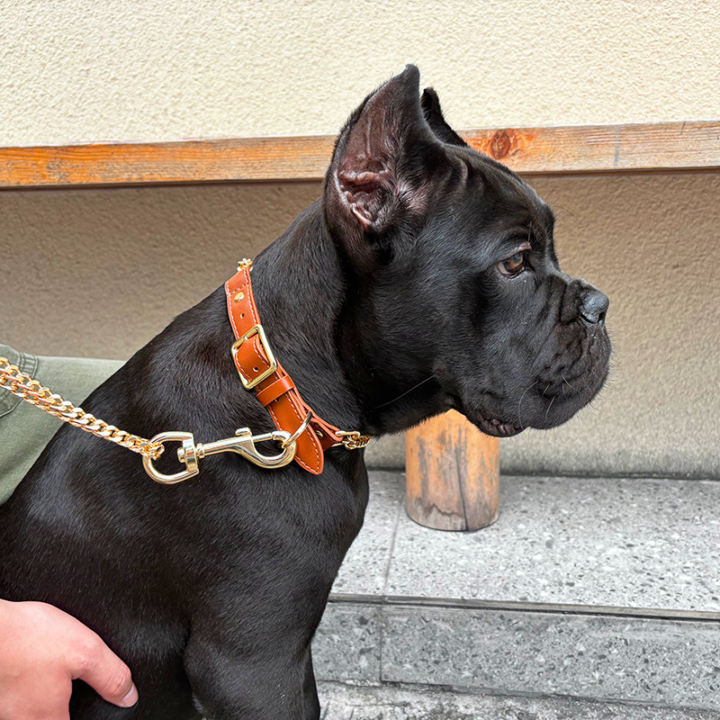 Loudik Wholesale Pet Collar Le - огляд і ціна Leather Strap Quick Release